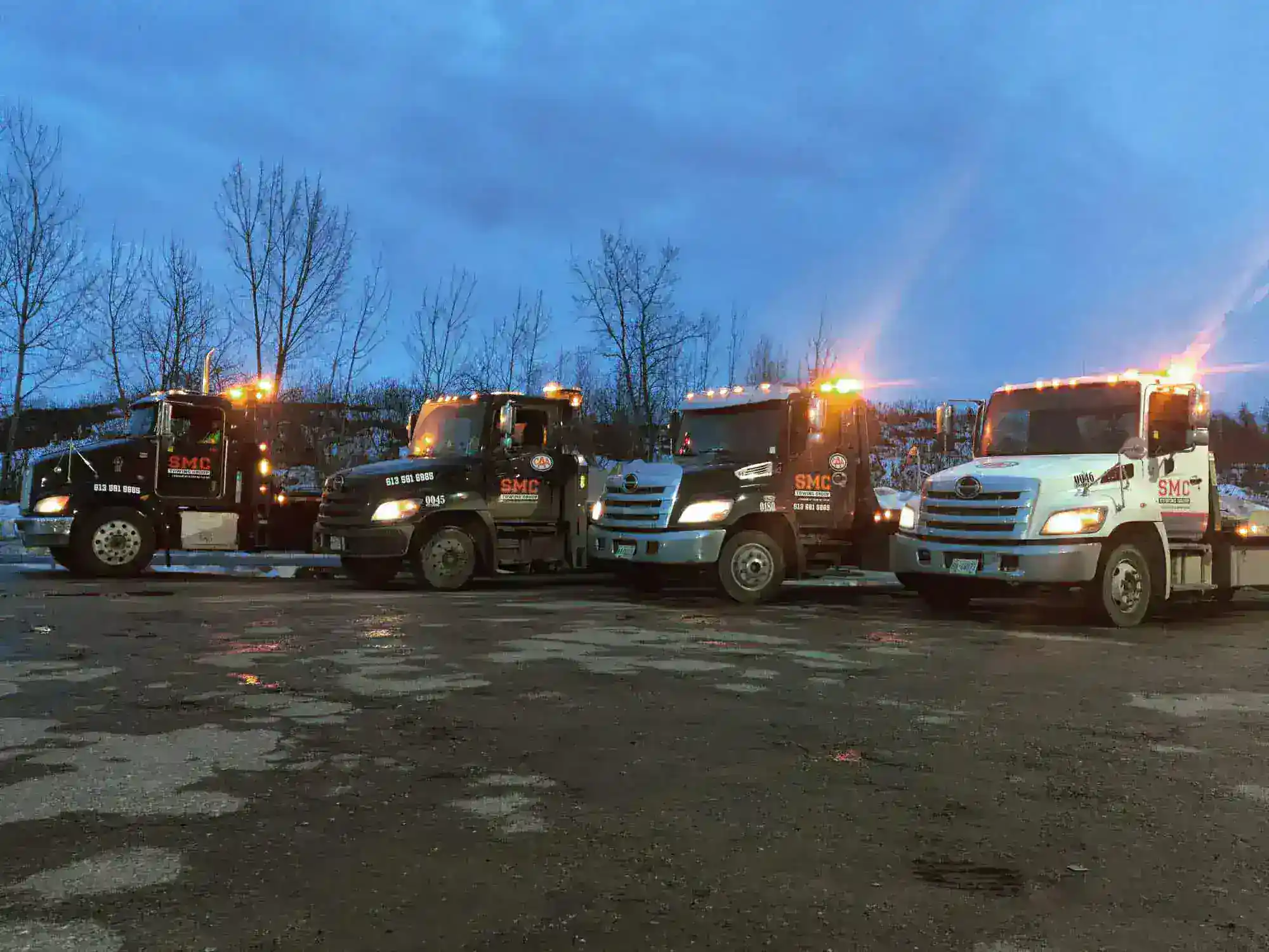 Row of tow trucks with flashing lights parked in a lot at dusk, leafless trees in the background under a blue sky.